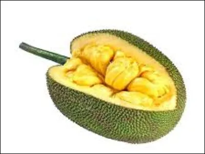 Quel fruit tropical est parfois utilisé comme substitut à la viande en raison de sa texture fibreuse ?