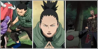 Qui serait ton meilleur ami ? (2)