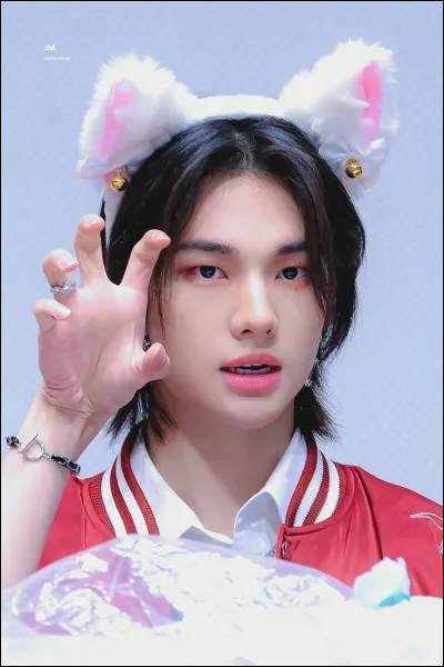 Partie 2 : Hyunjin 

Quel Skzoo est le sien ?