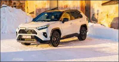 Quel est le nom de ce modèle ?