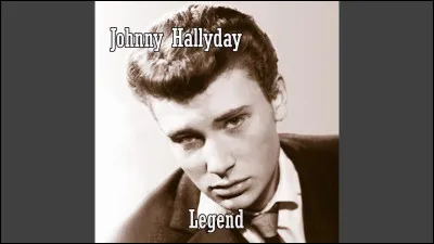 Johnny Hallyday, il fallait bien !