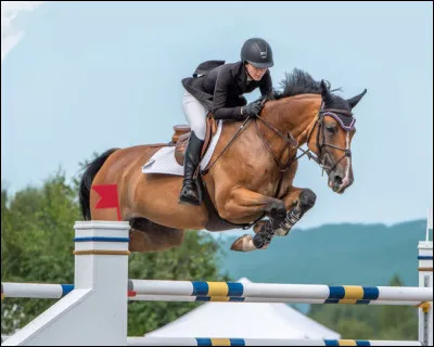 La vitesse de course du cheval la plus rapide enregistrée était de...