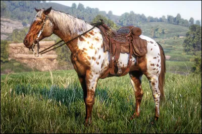 Les chevaux aiment les aliments très acides.