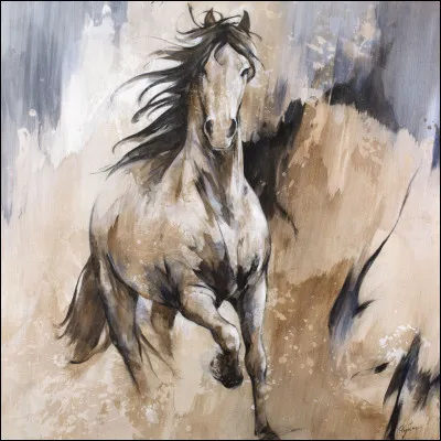 Comment appelle-t-on la couleur d'un cheval ?