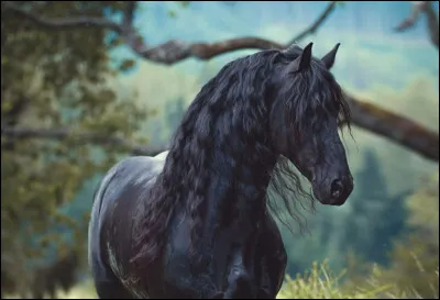 Un cheval possède-t-il plusieurs estomacs ?