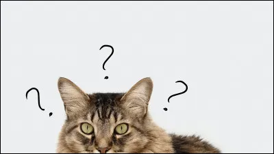 Veux-tu changer ton nom si ce n'est pas trop à ton goût ?