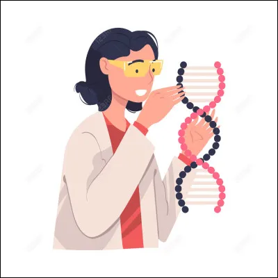 La molécule d'ADN est composée de quatre bases azotées : adénine, thymine, guanine et uracile.