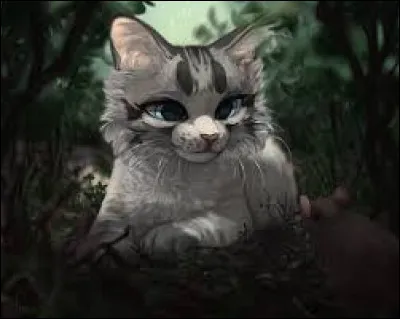 Si tu devais tuer quelqu'un, qui choisirais-tu ? (Je n'ai pas d'image pour Reflet de Roseau : ,) )