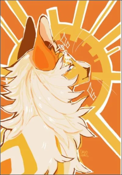 Quelles qualit&eacute;s pr&eacute;f&egrave;res-tu ?