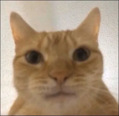 Comment serais-tu devenu m&eacute;chant ?