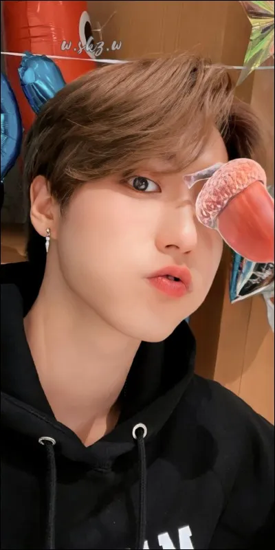 Partie 4 : Han

Avec qui a-t-il chanté "Gone Away" ?