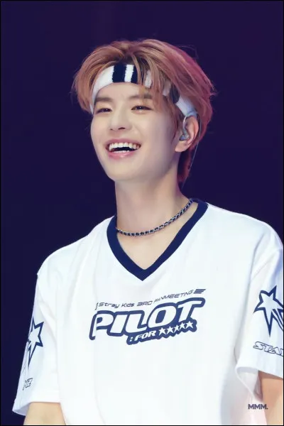 Partie 2 : Seungmin.

De quelle sous-unité fait-il partie ?