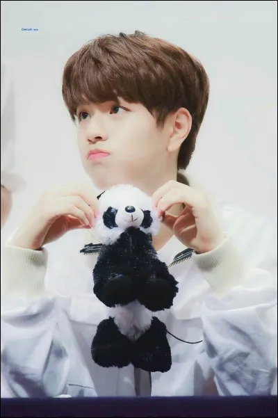 Partie 2 : Seungmin. 

À quel animal le compare-t-on ?