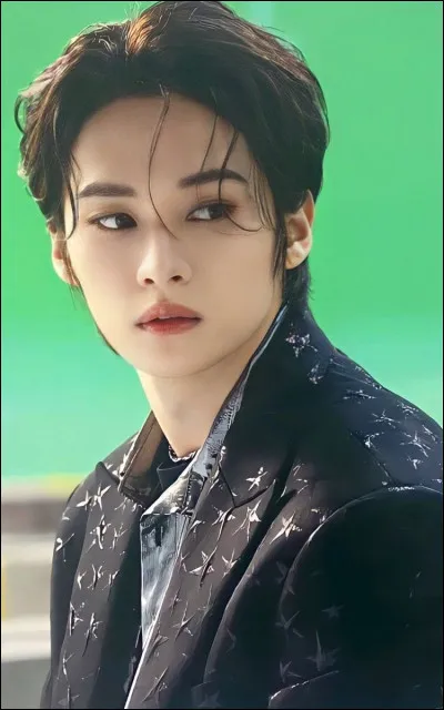 Partie 3 : Lee Know

Quel âge a-t-il en janvier 2025 ?