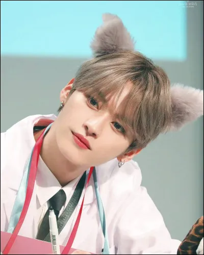 Partie 3 : Lee Know

Quel Skzoo est le sien ?