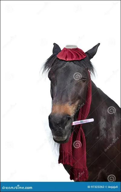 Laquelle de ces listes de maladies n'est pas du cheval ?