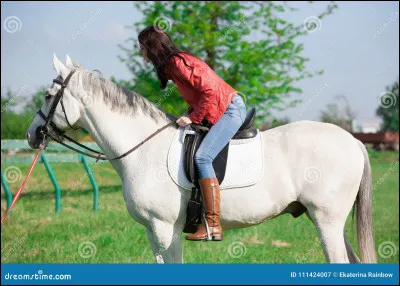 Un poney devient un cheval à partir de :