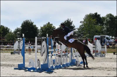 Comment s'appelle ce saut en CSO ?