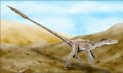 O vit le Velociraptor Mongholiensis ?