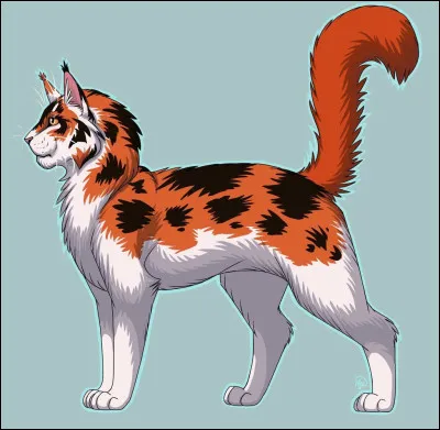 Tu fais partie du Clan du Tonnerre et tu es Étoile Bleue. Plume Rousse vient de mourir et tu dois élire un nouveau lieutenant, qui choisis-tu ?