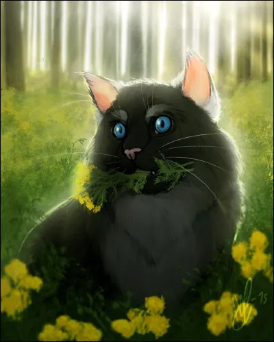 Tu fais partie du Clan du Tonnerre. Un jour, tu longes le territoire de l'Ombre et tu croises un chat du Clan du Vent en train de chasser sur leur territoire. Que fais-tu ?