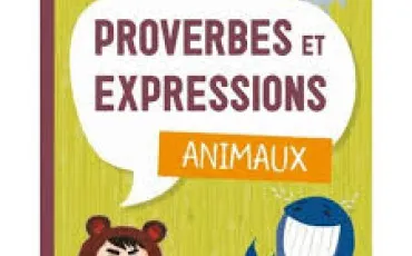 Quiz Expressions