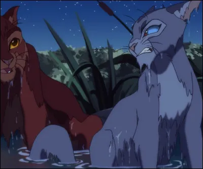 Qui est cette chatte ?