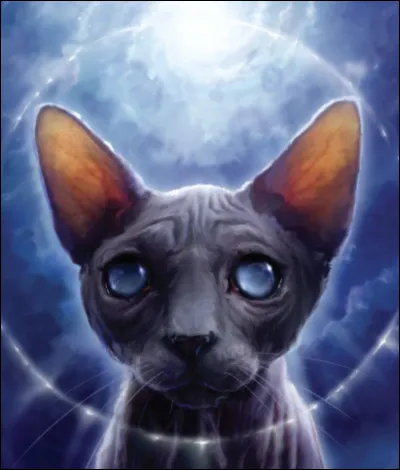 Quel est le nom de ce matou hideux ?