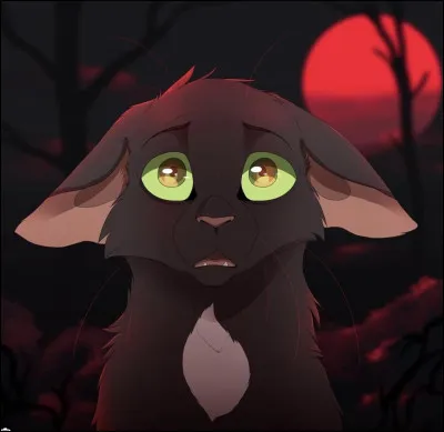 Qui est ce jeune chat terrifié ?