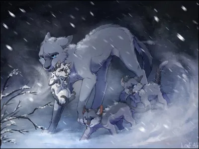 Qui est cette chatte plongée au cur de la tempête ? (attention précision exigée)