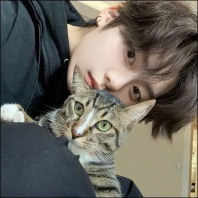 Et la dernière question, combien de chats Lee Know a-t-il ?