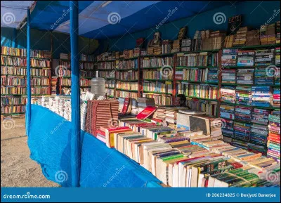 Quels types de livres aimes-tu lire ?