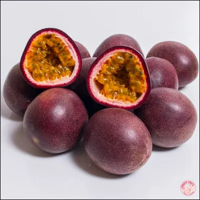 Lequel de ces livres de Danielle Steele est sorti en 1979 ?