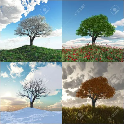 Tu pr&eacute;f&egrave;res une s&eacute;rie de combien de saisons ?