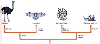 Quelle est cette représentation : à quoi sert-elle ?