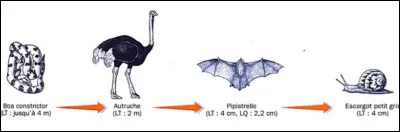 Quelle est cette représentation : à quoi sert-elle ?