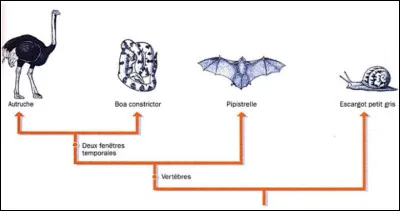 Et celle-ci à quoi sert-elle ?