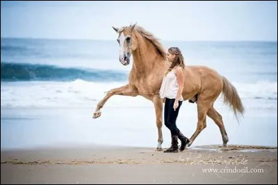 Que doit faire un cavalier avec ses talons quand il monte à cheval ?