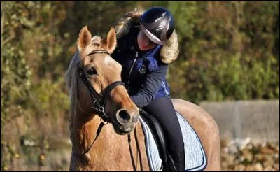 Quand on trotte assis, que doit-on faire avec son dos ?