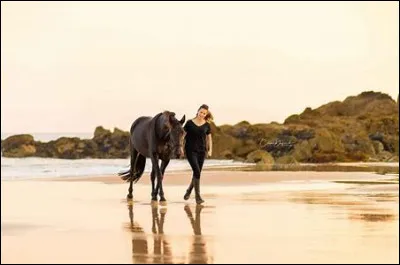 Comment s'appelle l'allure la plus lente du cheval ?