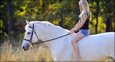À quoi servent les étriers ?