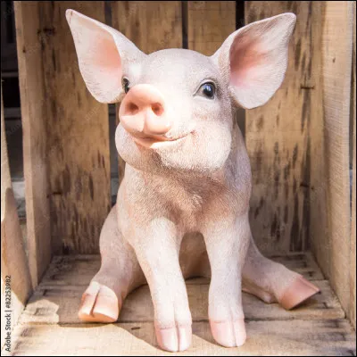 Quel est cet animal ?