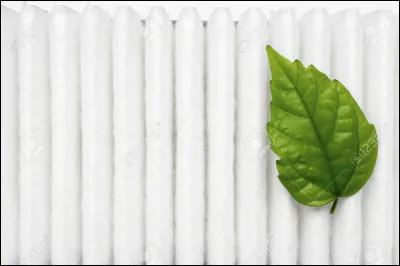 Dont la taille est inférieure à la moyenne
Partie des végétaux (siège de la photosynthèse) par laquelle ils respirent