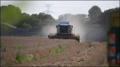 Qu'est-ce qu'un belou en Anjou ?