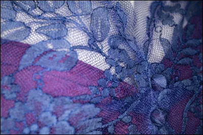 Quelle ville est célèbre pour sa dentelle ?