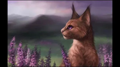 Amas de vapeur d'eau condensée en fines gouttelettes maintenues en suspension dans l'atmosphère
Variété de lignite dure, d'un noir luisant, qu'on peut tailler, polir.