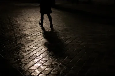 Zone sombre créée par un corps opaque qui intercepte les rayons lumineux ; absence de lumière (surtout celle du Soleil) dans une telle zone
Grand arbre (acéracée) dont le fruit est muni d'une longue aile membraneuse