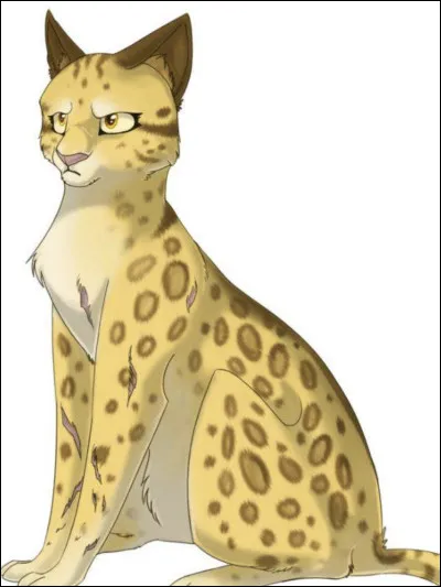 Qui a succ&eacute;d&eacute; &agrave; &Eacute;toile du Leopard ?