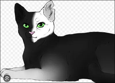 Quel &eacute;tait le grade de Patte noire quand il est mort ?