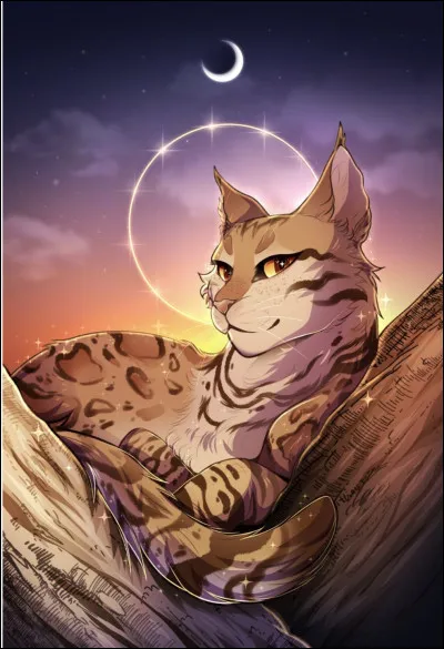 Qui est le personnage principal du cycle 1 ?